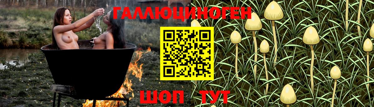 Асино  Галлюциногенные грибы GOLDEN TEACHER  Вход с VPN  Псилоцибиновые грибы Psilocybine cubensis 