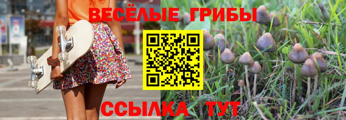 Галлюциногенные грибы GOLDEN TEACHER Асино